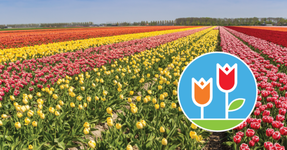 dutch countryside homepage
